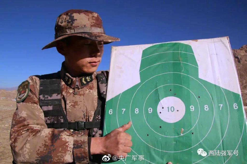 西陆强军号所属兵种深度解析，西陆强军号所属兵种深度剖析