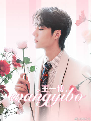 王中王一肖中特大全,探索与解析,王中王一肖中特大全,深度探索与解析