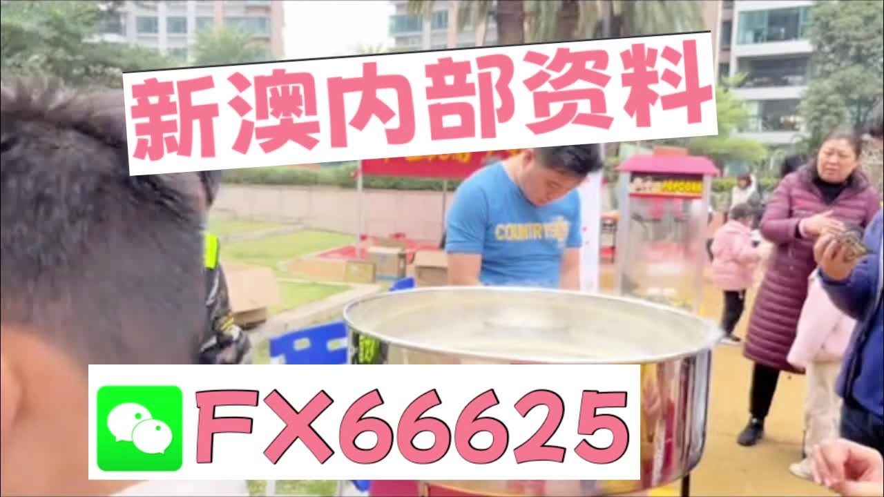 新澳2025正版资料大全，探索与解读，新澳2025正版资料大全，深度探索与解读