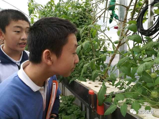 儿童手工军事模型制作方法，儿童手工军事模型制作指南