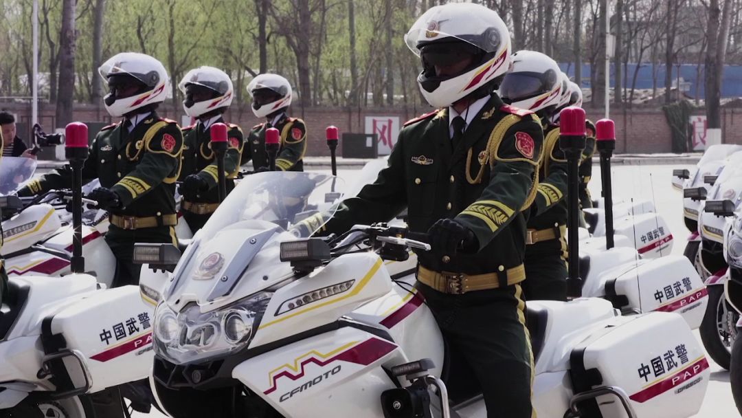 阅兵仪式中的国宾护卫队，荣耀与责任，阅兵仪式中的国宾护卫队，荣耀与责任之旅