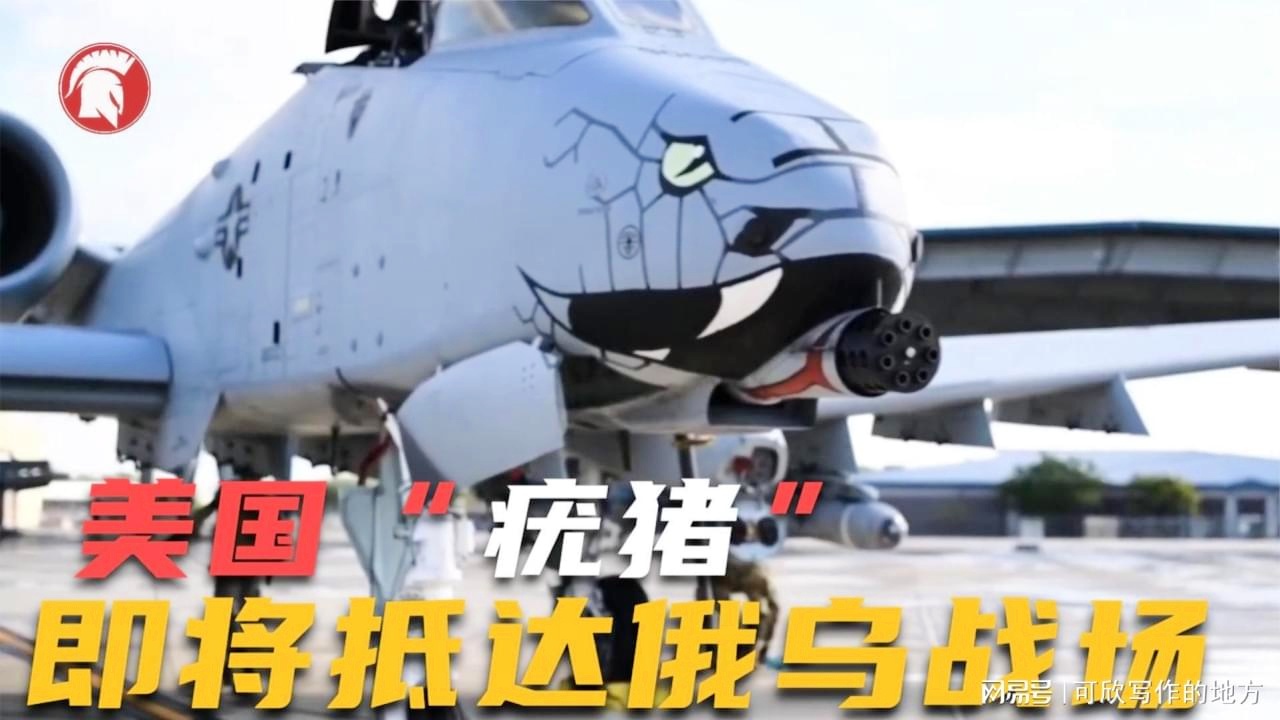 美国A-10疣猪攻击机事件深度解析，美国A-10疣猪攻击机的深度解析与事件回顾