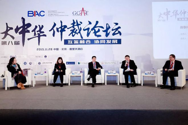 大中华论坛，探讨中华文化的多元性与发展路径，大中华论坛，中华文化多元性与发展路径的探讨
