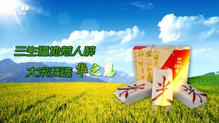 CCTV7与寒露，传统与现代的交融，CCTV7寒露时刻，传统与现代的完美交融