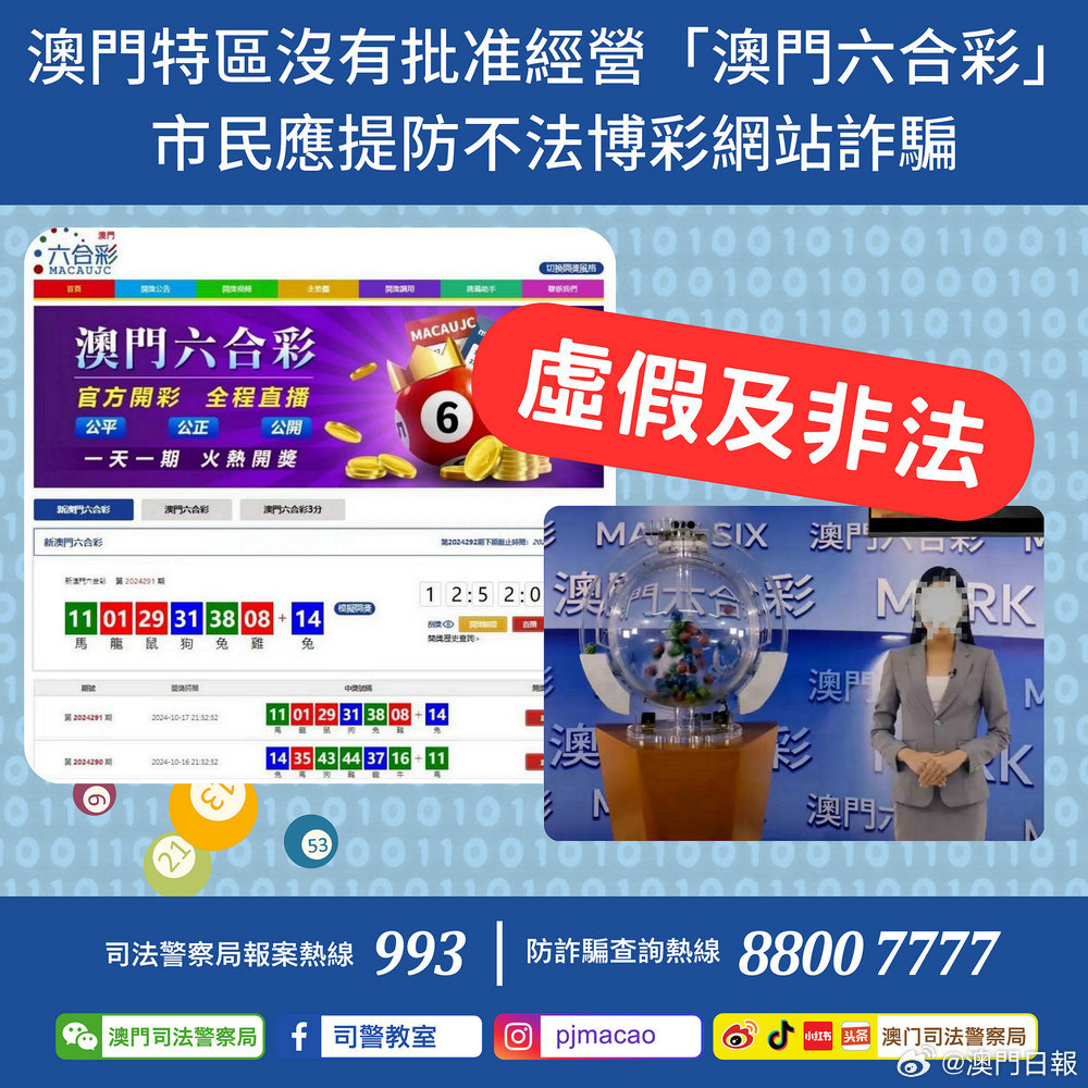 澳门精准四肖八码官网，探索与解析，澳门精准四肖八码官网解析与探索指南