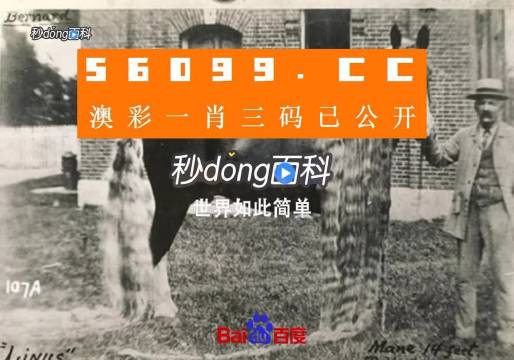王中王资料心水一肖中特，深度解析与探索，王中王资料解析，探索心水一肖中的特质与深度洞察