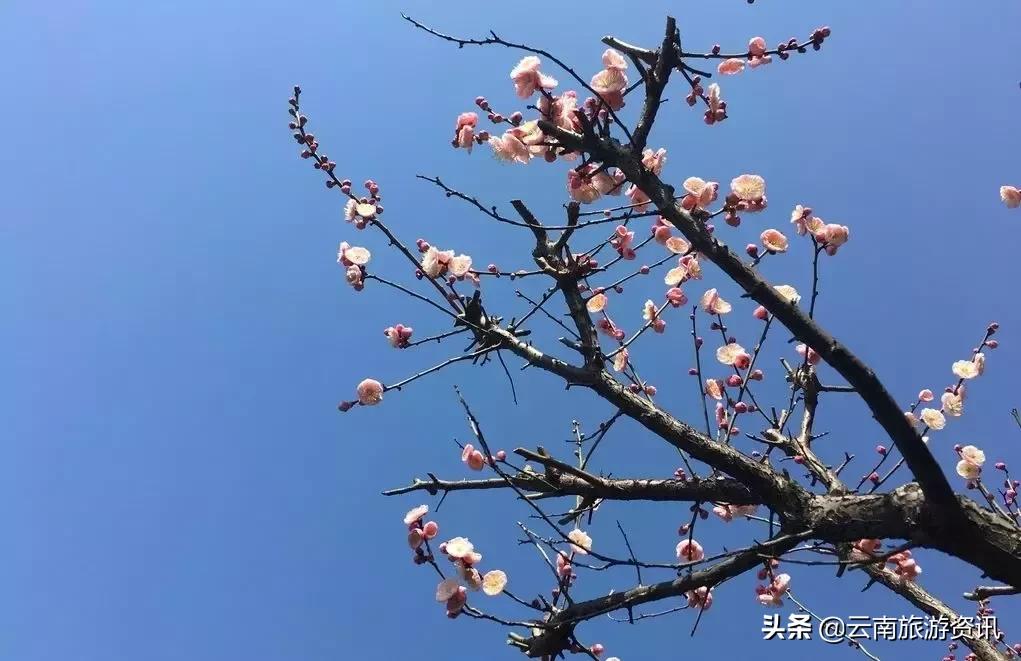 揭秘蛟龙600，深入解析其含义与背景，揭秘蛟龙600，含义与背景深度解析