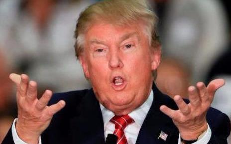 米尔军事网手机版新闻深度解析，米尔军事网手机版新闻深度解读