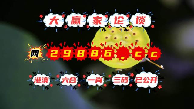 澳门8点半最快开奖结果查询，揭秘彩票背后的秘密，澳门彩票开奖结果查询，揭秘8点半彩票背后的秘密