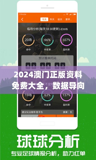 澳门正版资料免费大全，探索与启示（2025年视角），澳门正版资料免费大全，深度探索与启示（2025年视角）
