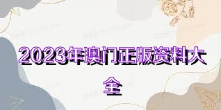 澳门资料大全正版资料，探索与解读（2025版），澳门资料大全正版探索解读手册（2025版）