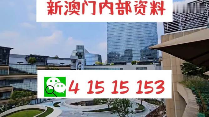 新澳门单双网站，探索与体验，新澳门单双网站，探索与冒险之旅