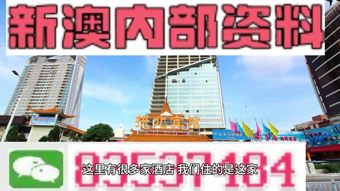探索新澳正版资料的世界，免费提供的价值，探索新澳正版资料的世界，免费提供的价值之旅