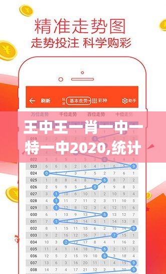 探索未知领域，王中王一肖码与未来的无限可能，王中王一肖码，探索未知领域的无限可能