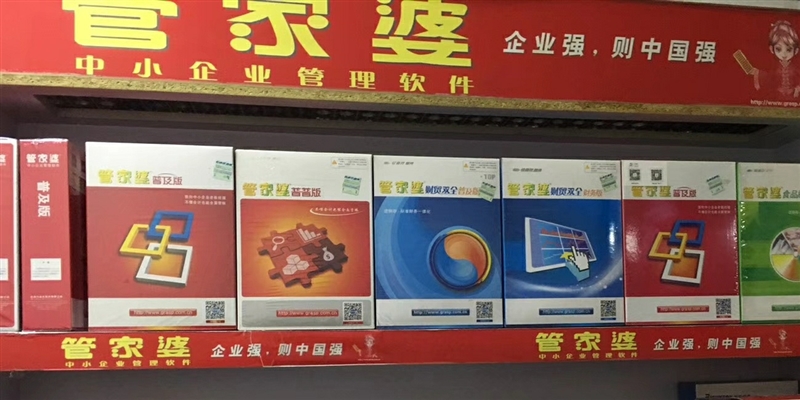 正版管家婆软件，助力企业高效运营的智能管家，正版管家婆软件，企业高效运营的智能管家利器