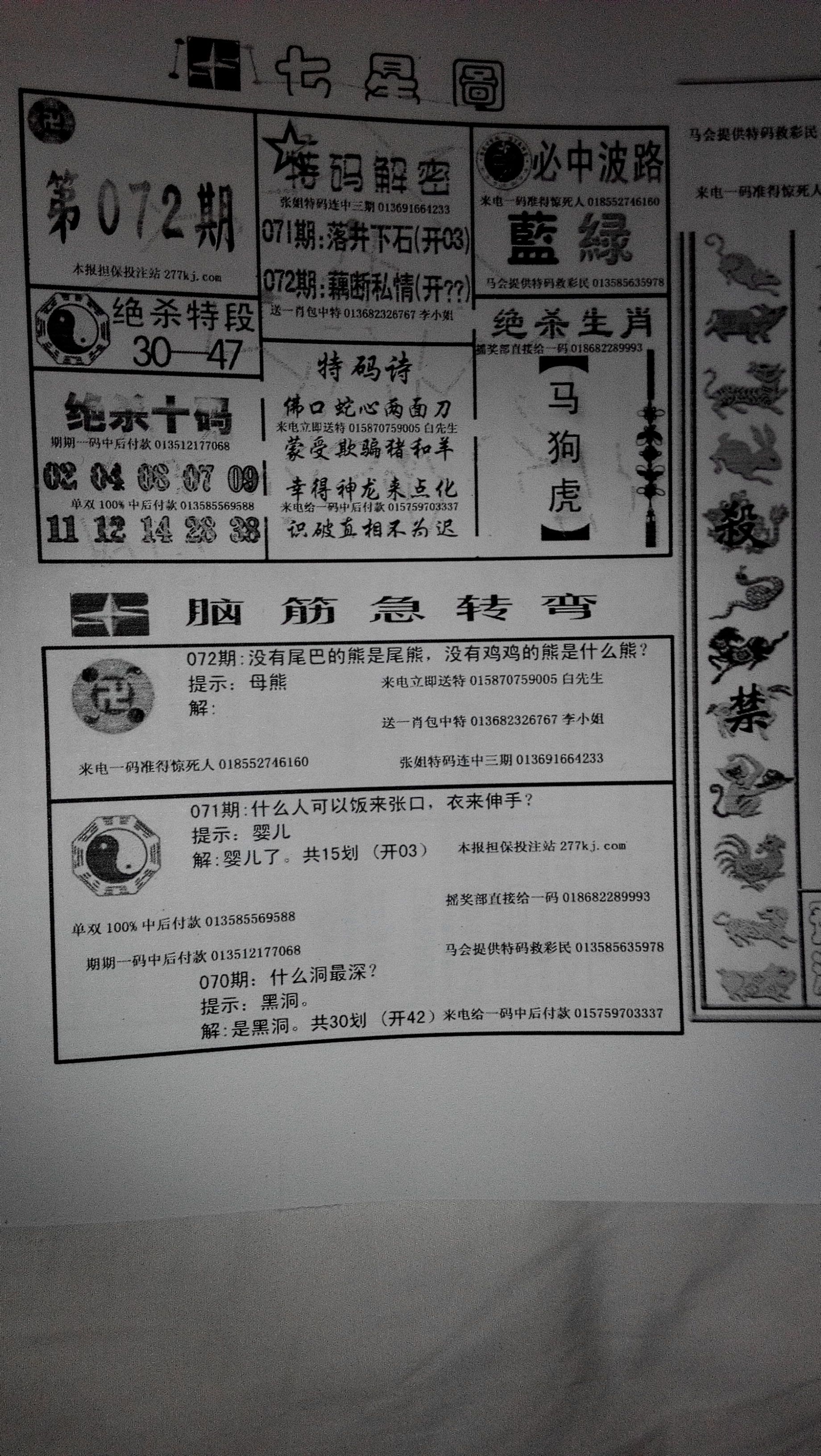 王中王打一生肖最佳答案，王中王打一生肖，揭秘最佳答案