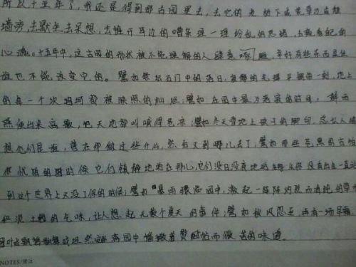 今日新闻摘抄十条简短，今日新闻摘要，精选十条简短新闻快报