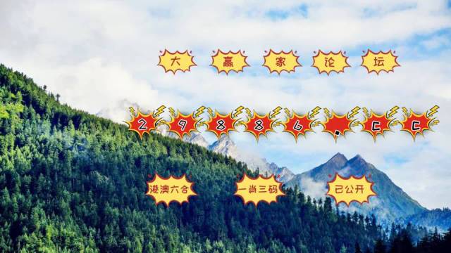 澳门七月初六开奖结果查询，揭秘彩票背后的故事，澳门七月初六彩票开奖结果揭晓，探寻背后的故事与幸运之谜