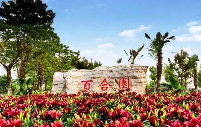 东海舰队十三支队，守护海洋的钢铁长城，东海舰队十三支队，守护海洋的钢铁卫士