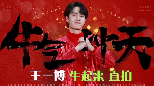 探寻王中王一肖中特的奥秘，探寻王中王一肖中特的奥秘，揭秘独特特征