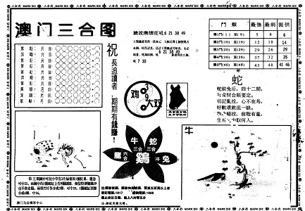 一码一肖，探寻中特与王中王的奥秘，探寻中特与王中王奥秘，一码一肖揭秘之旅