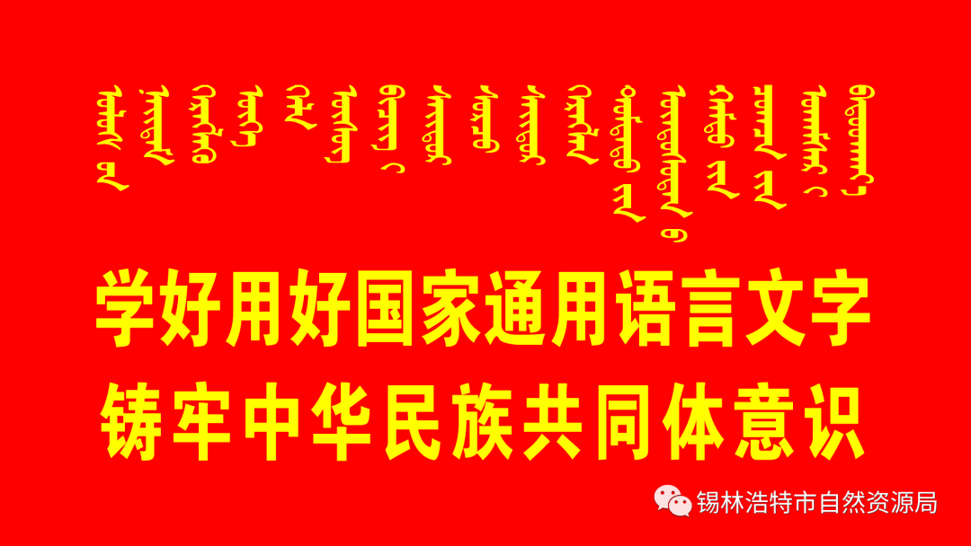 王中王三字解平特一肖——探寻背后的奥秘与意义，王中王三字解平特一肖——揭秘背后的神秘与含义
