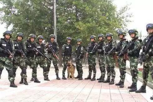 中国人民武装警察部队特种警察学院姜国营，一位英勇无畏的特种警察学院的杰出代表，中国人民武装警察部队特种警察学院姜国营，英勇无畏的杰出代表