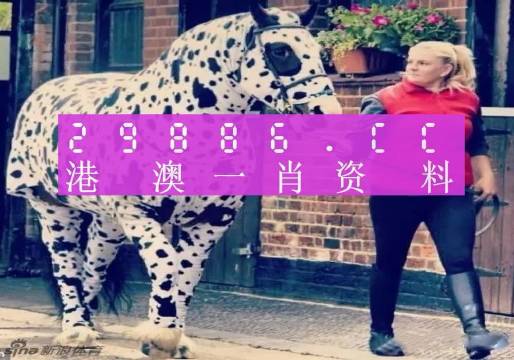 香港王中王一肖中特囹库，探索香港的独特魅力与历史底蕴，香港独特魅力与历史底蕴的探秘之旅，王中王一肖中特囍库