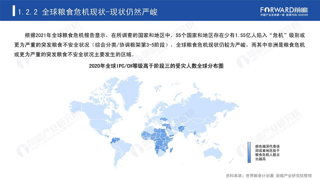 全球聚焦，2022年世界粮食危机最新消息，全球关注下的粮食危机，2022年世界粮食状况最新动态