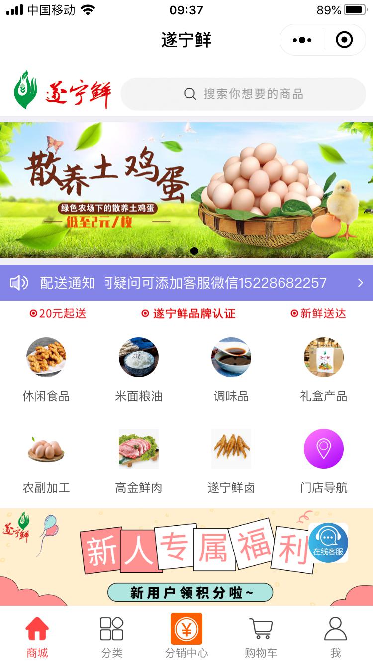 王中王遂宁平台一肖中特,探索与解析,王中王遂宁平台一肖中特,深度探索与解析