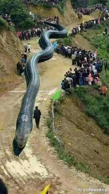 最新消息，宜宾发生地震，我们需要关注与行动，宜宾发生地震，关注与行动的时刻
