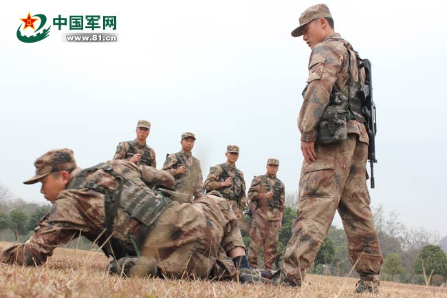 陆军第四十一集团军，光荣与使命的象征，陆军第四十一集团军，光荣使命的象征