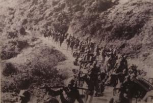 国民革命军第二十四集团军，历史沿革与贡献解析，国民革命军第二十四集团军，历史沿革与贡献深度解析