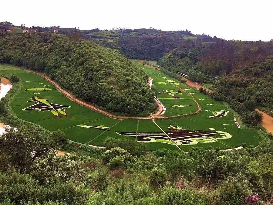 揭秘中国海军的骄傲——昆明舰(舷号,172)简介,中国海军的璀璨明珠,昆明舰(舷号172)简介