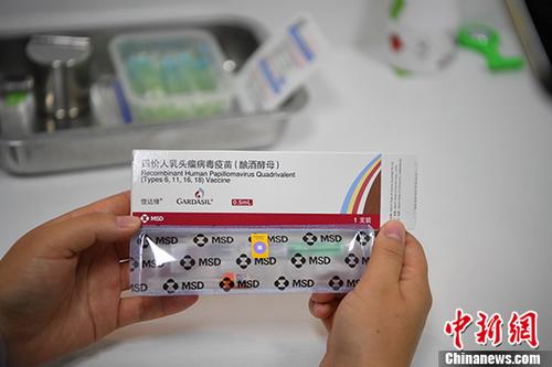 二四六香港管家婆期期准资料大全，深度解析与全面概览，二四六香港管家婆期期准资料大全，深度解析与全面概览手册