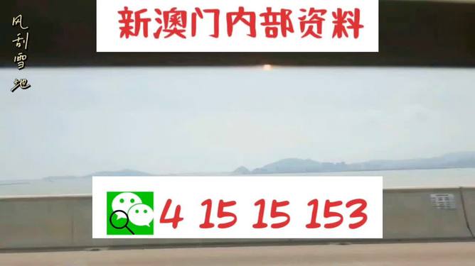 新澳门码精准资料解析，澳门码精准资料解析揭秘