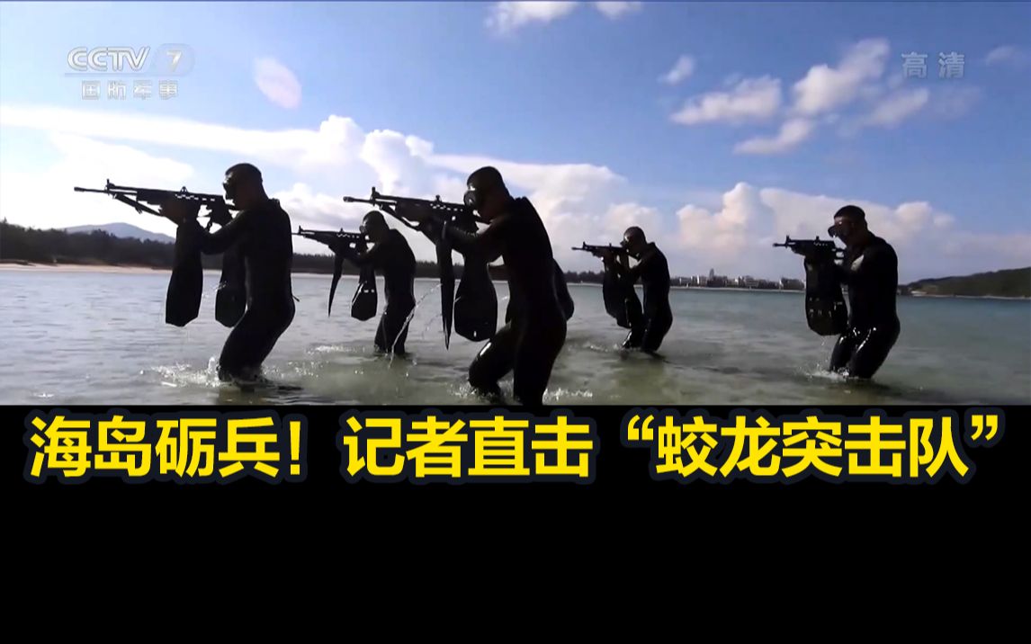 蛟龙突击队与海豹突击队，一场顶尖力量的较量结果最新分析，顶尖力量对决，蛟龙突击队与海豹突击队的较量结果分析
