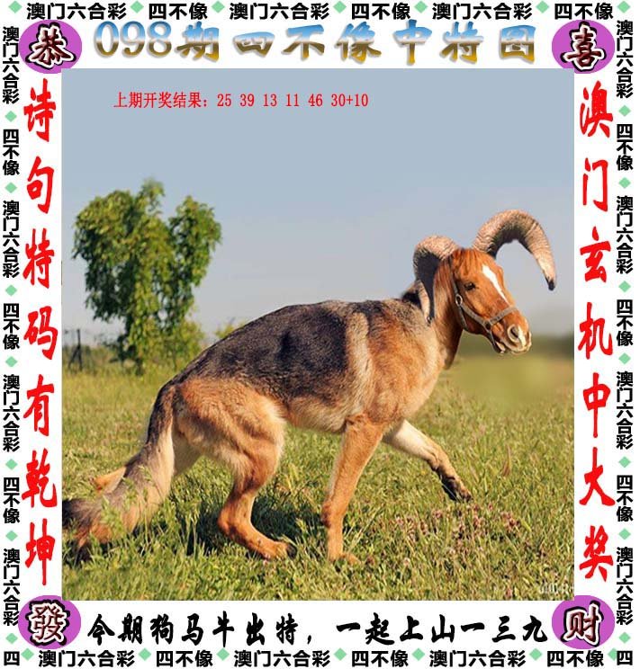 澳门今晚四不像正版图资料图片