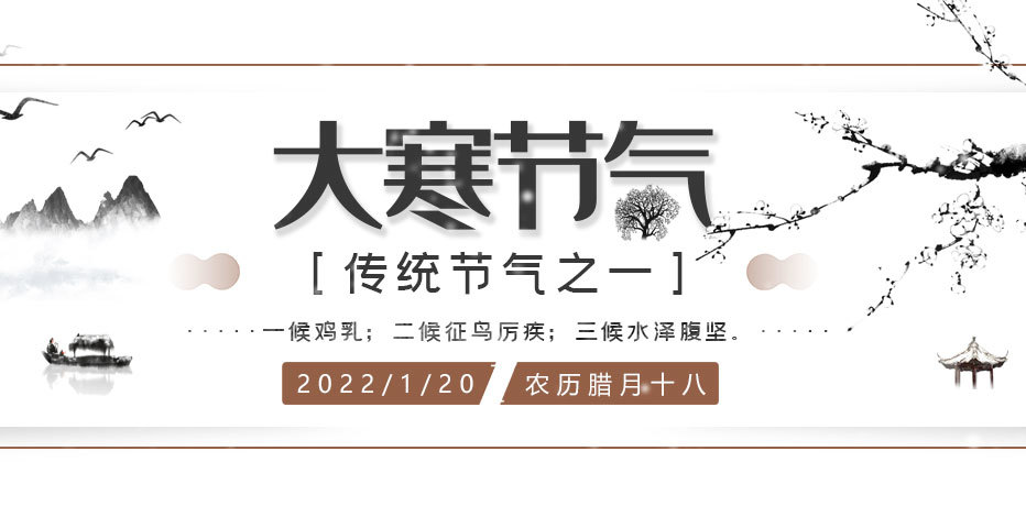 国际时事新闻20条概览，国际时事新闻概览，20条最新动态报道