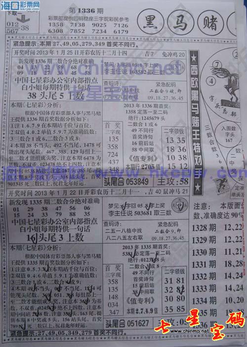 香港王中王特马图一肖，揭秘背后的神秘面纱，揭秘香港王中王特马图一肖背后的神秘面纱