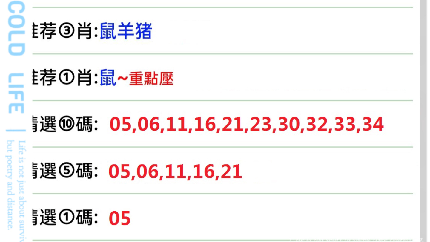 澳门必开一肖一码历史深度解析，澳门必开一肖一码历史深度探究
