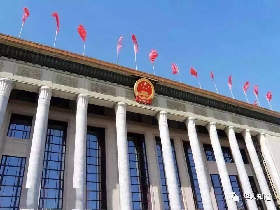 王中王一肖一特一中事件，深度探究与反思，王中王一肖一特一中事件深度探究与反思报告