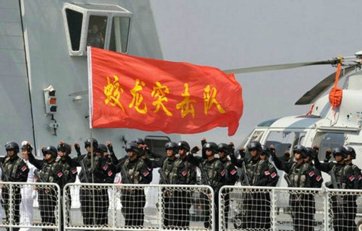 蛟龙突击队肩章，荣耀与责任的象征，蛟龙突击队肩章，荣耀与责任的标志
