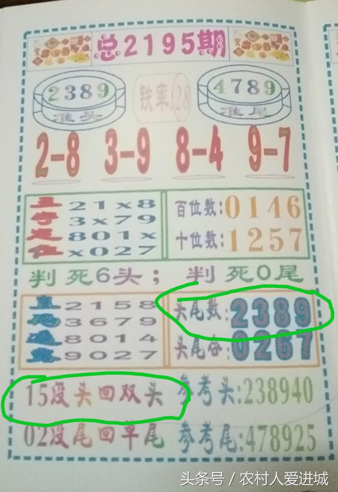 新澳门精准四肖期中特公开，探索与揭秘，新澳门精准四肖期中特公开，揭秘与探索之旅
