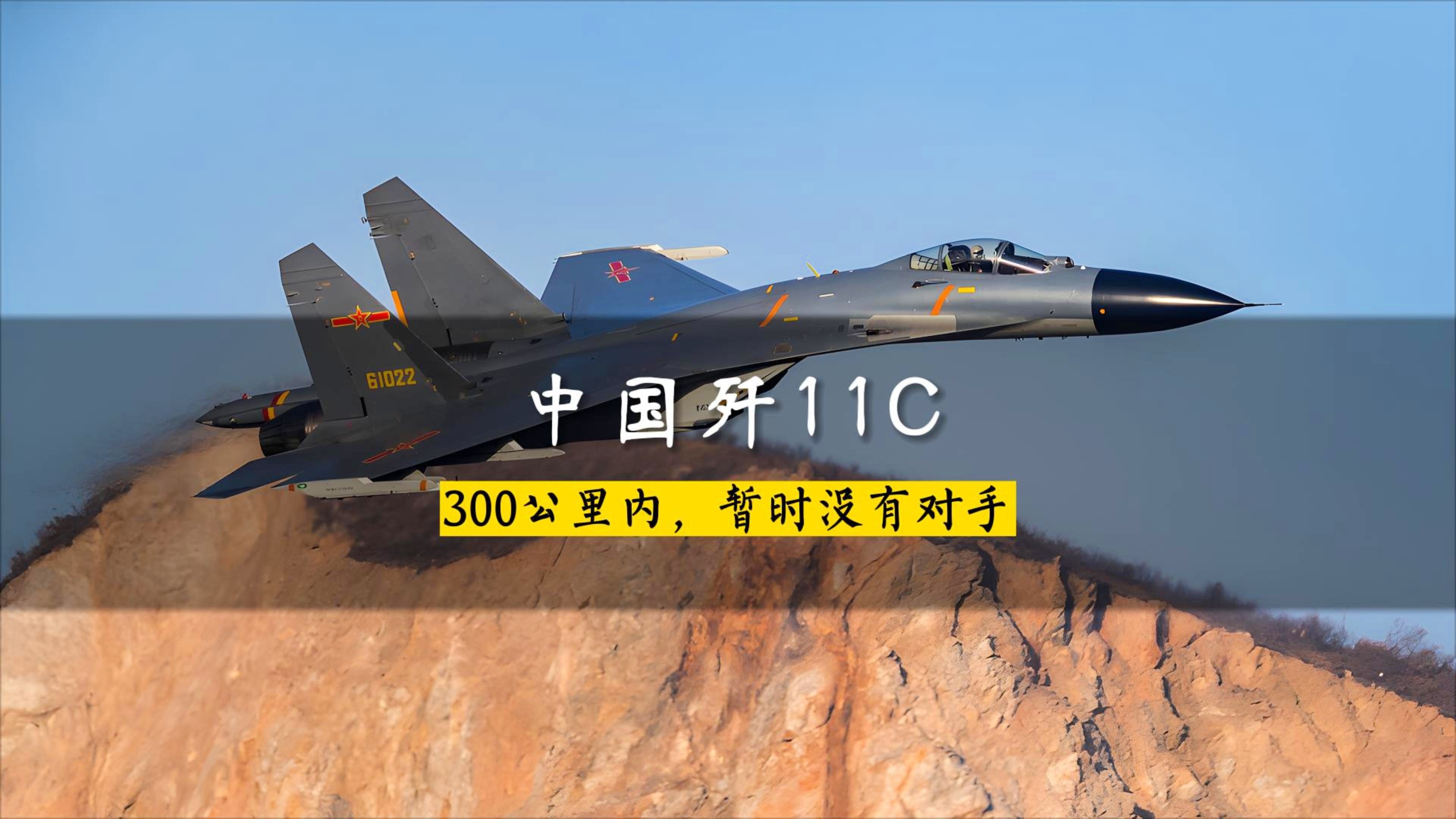 歼-11C数量及其在中国空军中的地位与影响,歼-11C数量及在中国空军中的地位与影响力解析