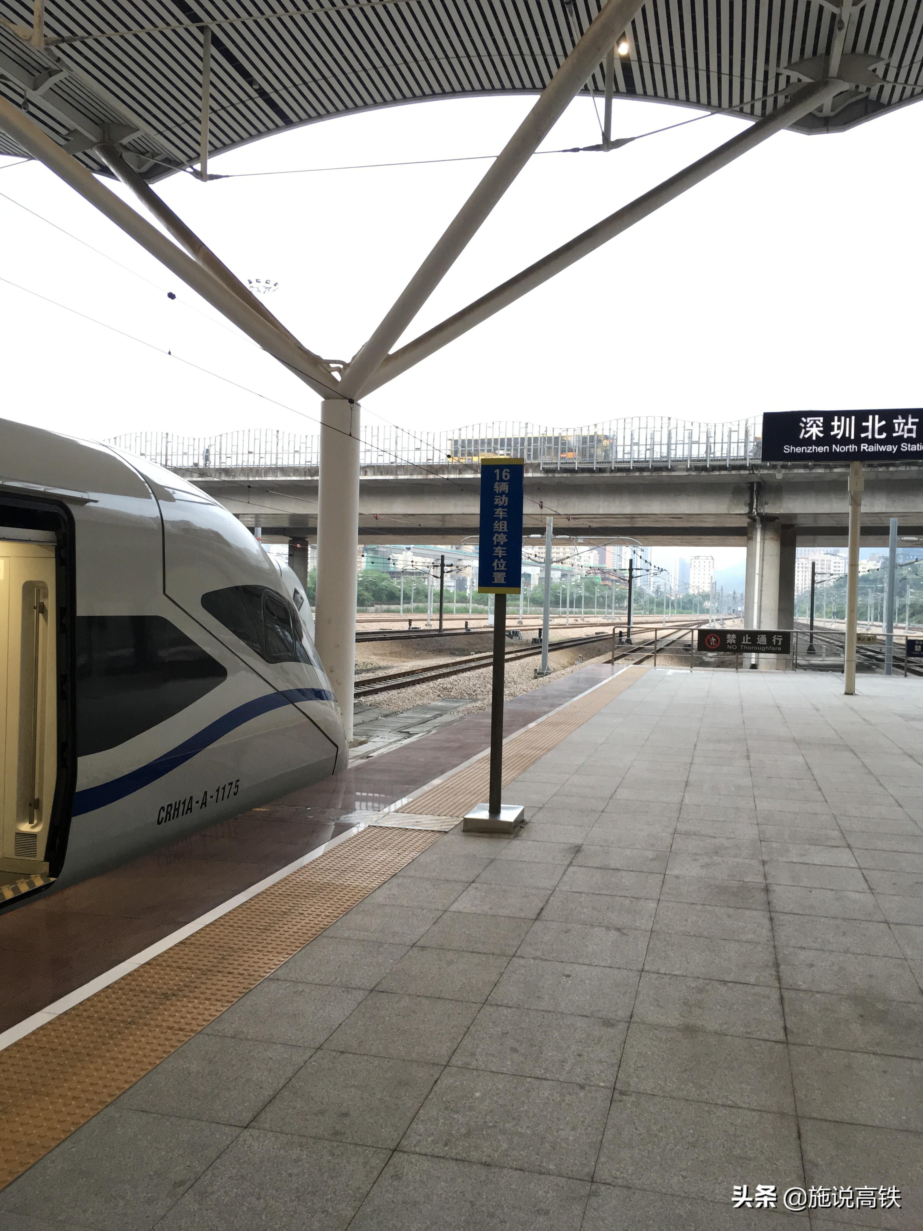 中印关系的现状与未来，走向更加稳固与繁荣的共生之路，中印关系，走向稳固与繁荣的共生之路的现状与未来