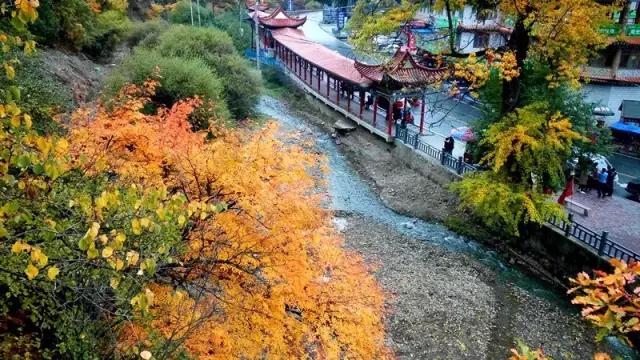 揭秘神算刘伯温，预测生肖之奥秘——必中一肖的传奇故事，揭秘神算刘伯温，揭秘必中一肖的传奇故事，探寻生肖预测之奥秘