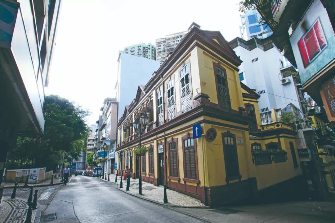 澳门今晚必开一肖,探寻生肖动物背后的文化魅力与神秘色彩,澳门今晚生肖揭秘,探寻背后文化魅力与神秘色彩