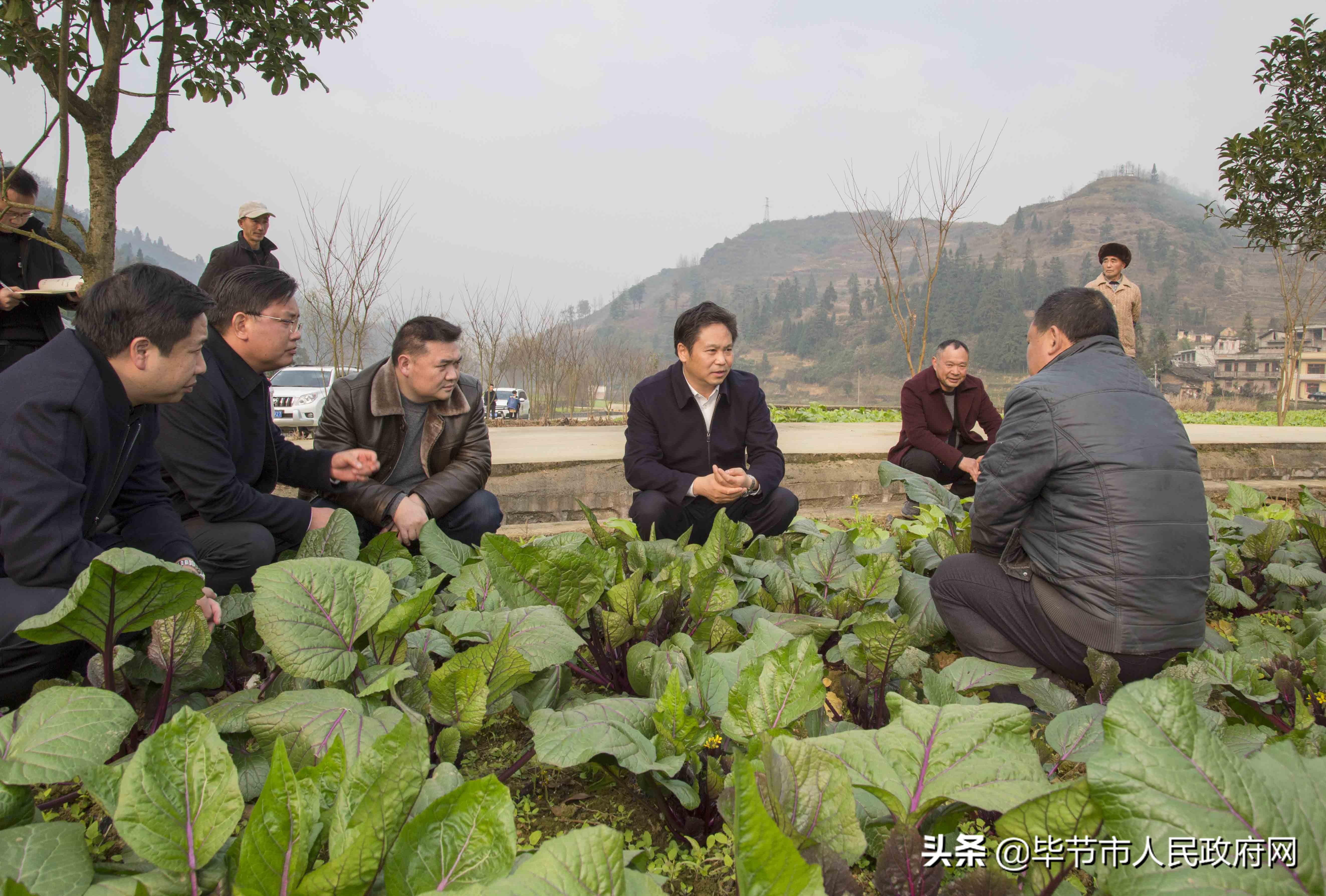 白杨导弹研制国家，历史背景与技术成就，白杨导弹研制国家的历史背景与技术成就概览