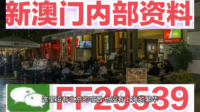 澳门今晚开奖记录，探索数字背后的故事与期待，澳门今晚开奖数字背后的故事与期待揭秘
